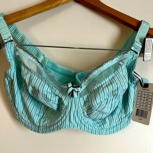 Fantasy lingerie brand bra. Light Mint green striped.